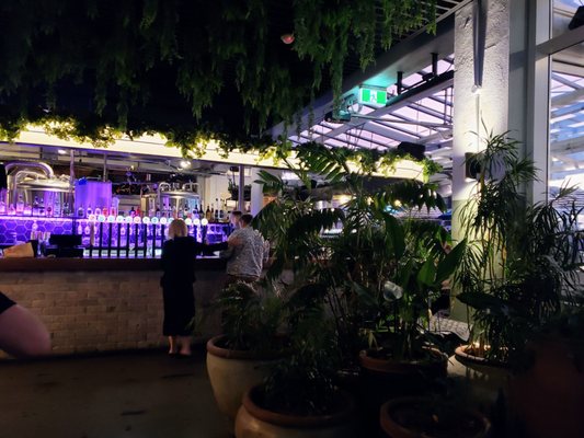 Dr Rudi's Rooftop Brewing Co. by null