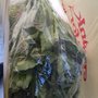 Photo of Elim Food