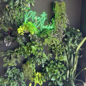 Watercourse Foods - Plants Please Wall - Vegetarian Near Me - Denver, Colorado Watercourse Foods - Plants Please Wall - Vegetarian Near Me - Denver, Colorado