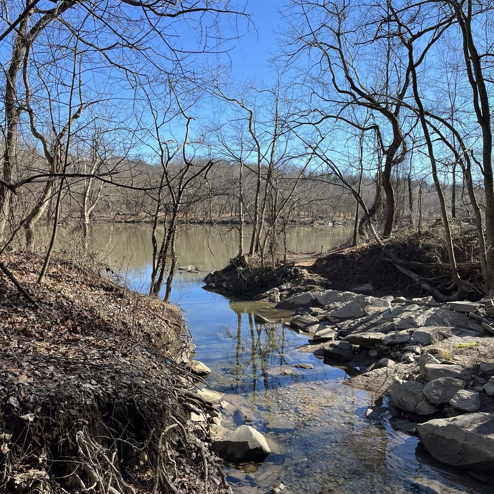 Potomac Overlook Regional Park - Parks Near Me - Arlington, Virginia Potomac Overlook Regional Park - Parks Near Me - Arlington, Virginia