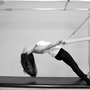 Photo of The Pilates Preserve