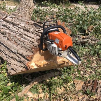 Texas Tree Service - Tree Trimming Tree Removals Chipping Bush Trimming - Tree Services Near Me - Richardson, Texas