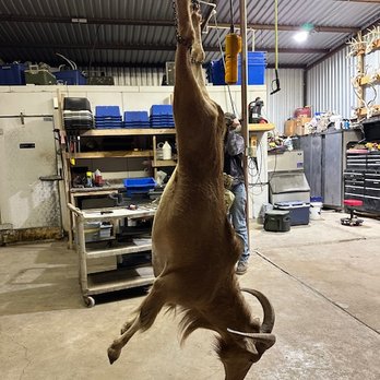 4 Amigos Ranch - Wildlife Hunting Ranges Near Me - Eagle Pass, Texas