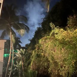 The area outside our room! So natural and beautiful at night. The area outside our room! So natural and beautiful at night.