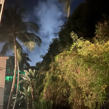 El Conquistador Resort - The area outside our room! So natural and beautiful at night. - Resorts Near Me - Fajardo, Puerto Rico El Conquistador Resort - The area outside our room! So natural and beautiful at night. - Resorts Near Me - Fajardo, Puerto Rico