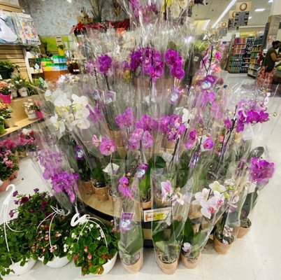 ShopRite of New Hyde Park by null