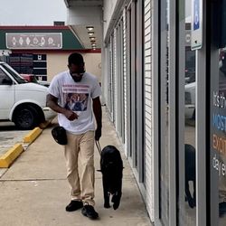 Montreal Professional Dog Training Services