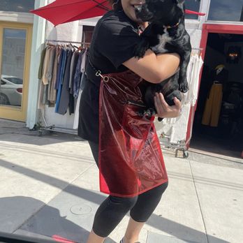Wag n’ Swag - Pet Groomers Near Me - Los Angeles, California Wag n’ Swag - Pet Groomers Near Me - Los Angeles, California