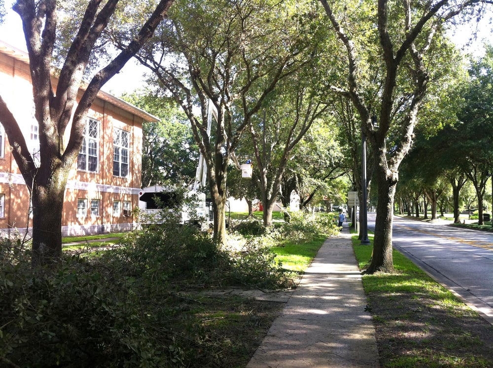 M & B TREE SERVICE Updated August 2024 707 Shaw Lake Rd, Pierson