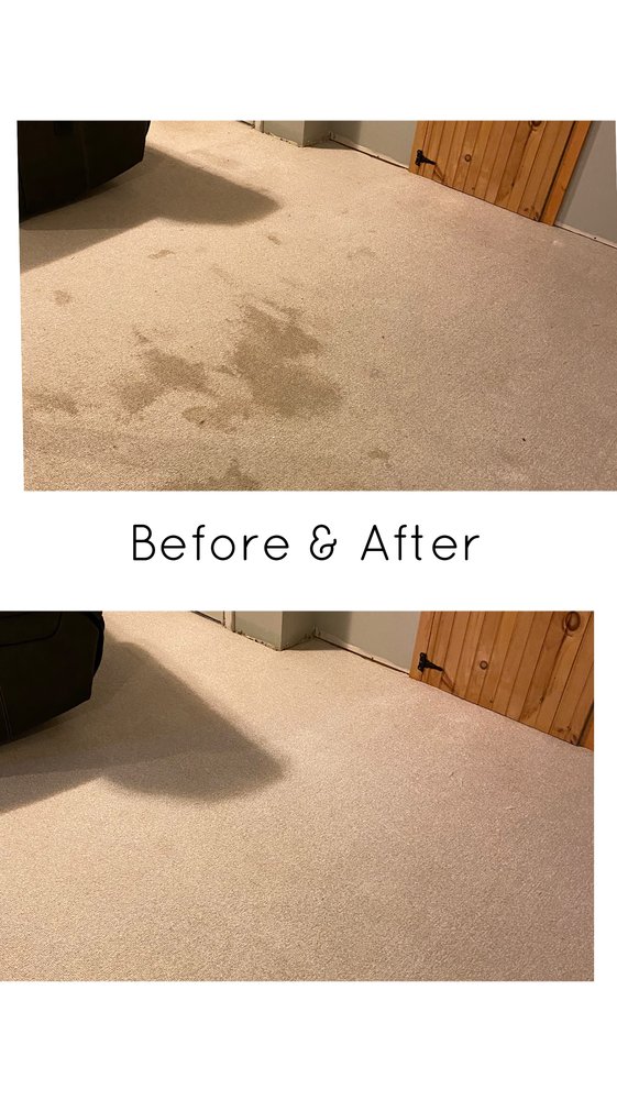 HOMETOWN CARPET CLEANING Updated April 2024 48 Photos 16 Fremont