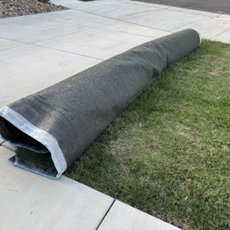 Roll in our front yard blocking sprinklers