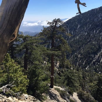 Cucamonga Peak - Hiking Near Me - Mount Baldy, California Cucamonga Peak - Hiking Near Me - Mount Baldy, California