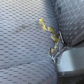 Domino's Pizza - two birds on the seat of a car - Pizza Near Me - Twin Falls, Idaho Domino's Pizza - two birds on the seat of a car - Pizza Near Me - Twin Falls, Idaho