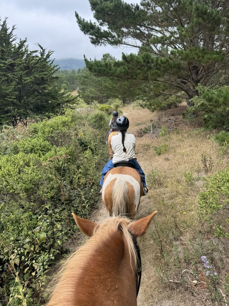 Moss Beach Ranch - equestrian in Moss Beach, CA