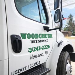Woodchuck Tree Service