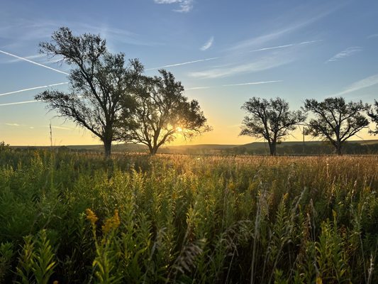 Tallgrass Prairie National Preserve by null