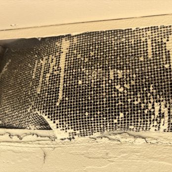 Attic Pros - Rat-damaged attic screen - Pest Control Near Me - Oakland, California