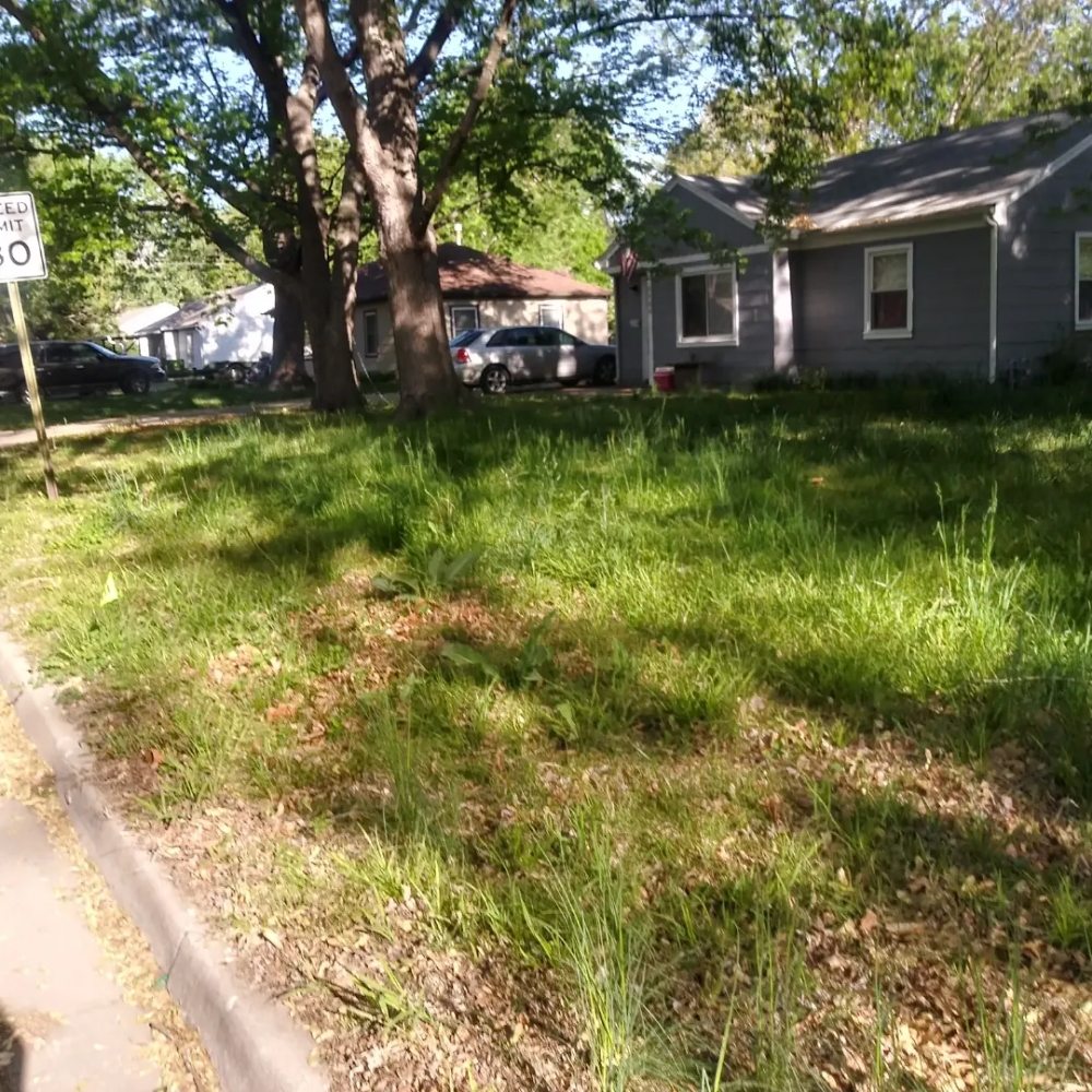 Blue Valley Lawn & Tree Service - tree service in Topeka, KS