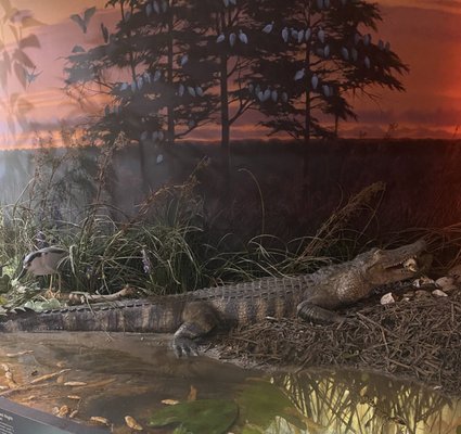 Ernest F. Coe Visitor Center by null