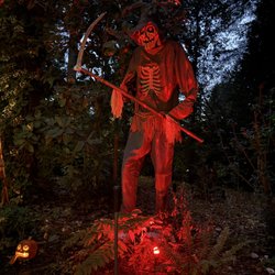 Heronswood Garden - Haunted Heronswood