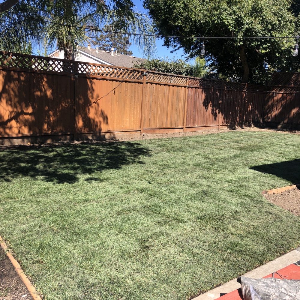 All Green Scape - Big job, lots of dirt to remove and sod to lay down. Carlos did a pro job quickly and with care. We love it! - Landscaping Near Me