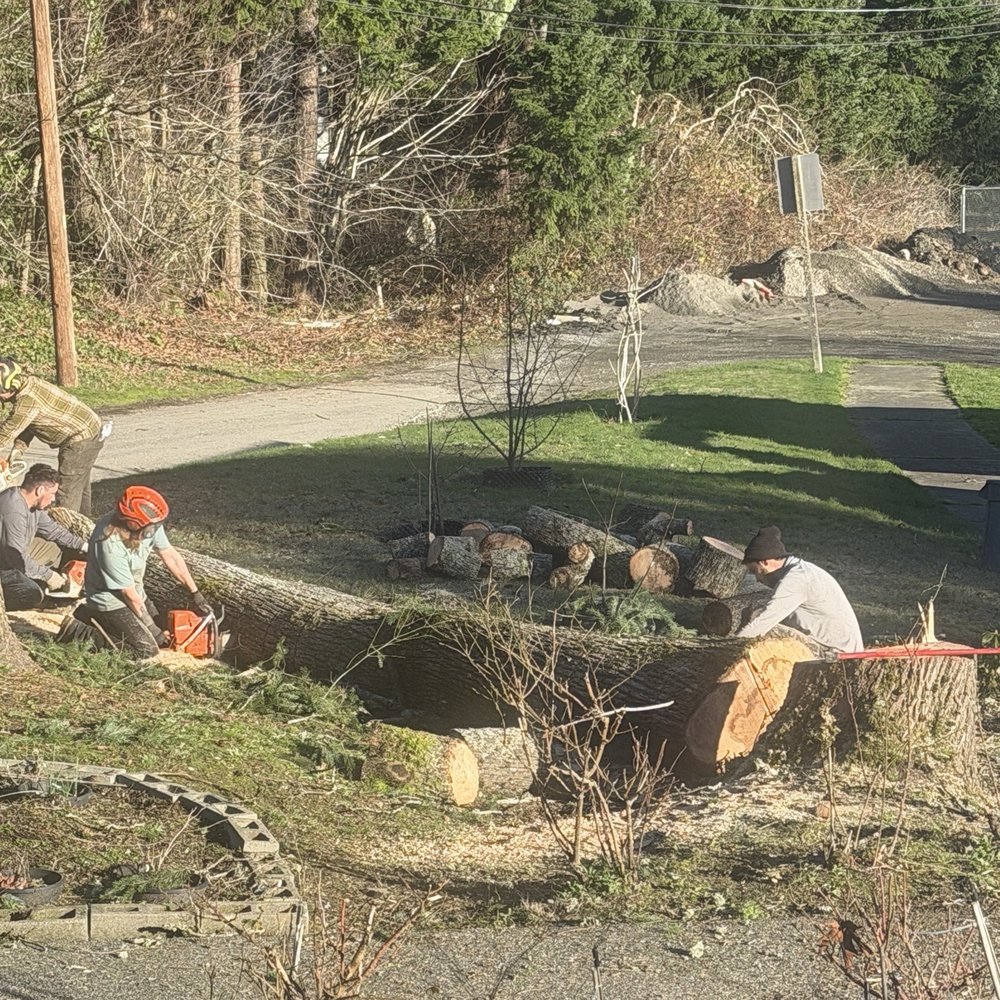 Ablaze Tree Pros - Tree Services Near Me - Puyallup, Washington Ablaze Tree Pros - Tree Services Near Me - Puyallup, Washington