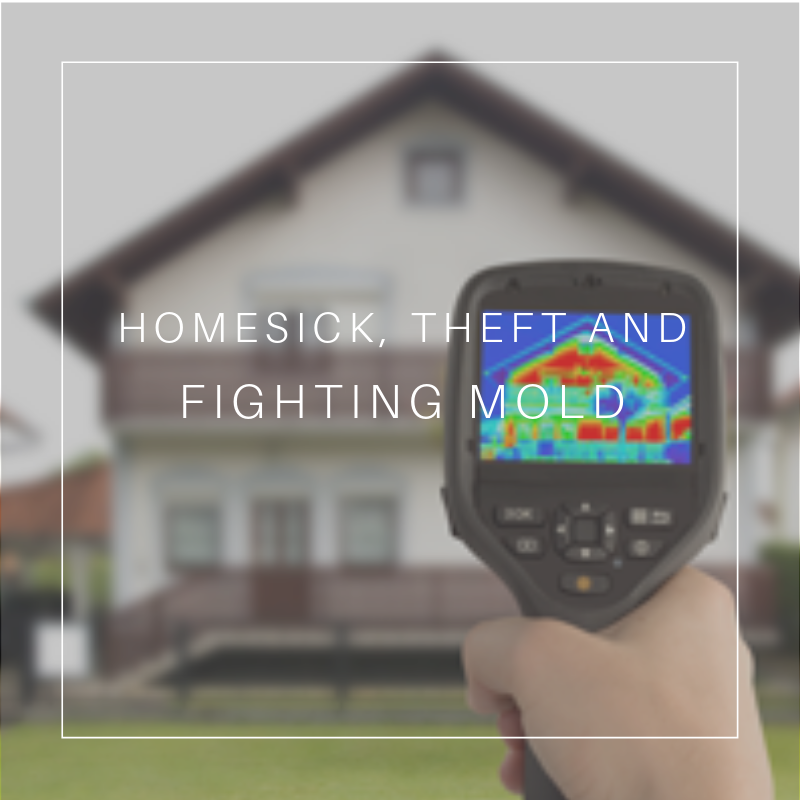 Certified Mold Inspections - mold inspector in Matawan, NJ