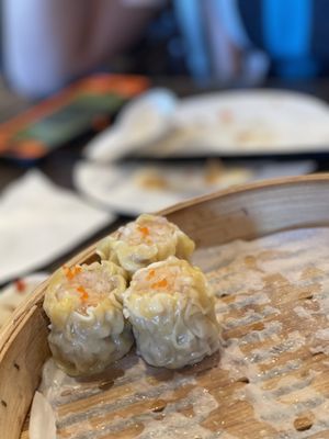 Journey To The Dumpling by null
