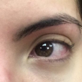 Blossom Brows - Post-threading - after being tinted. Love it! - Hair Removal Near Me - Brooklyn, New York Blossom Brows - Post-threading - after being tinted. Love it! - Hair Removal Near Me - Brooklyn, New York