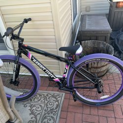 Valley Stream Bicycle - SE Maniacc