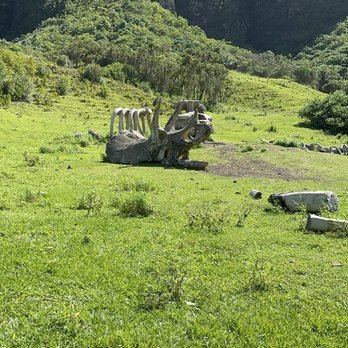 Kualoa Ranch - Tours Near Me - Kaneohe, Hawaii