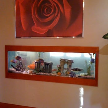 Red Rose Salon - Hair Salons Near Me - Saint Charles, Missouri Red Rose Salon - Hair Salons Near Me - Saint Charles, Missouri