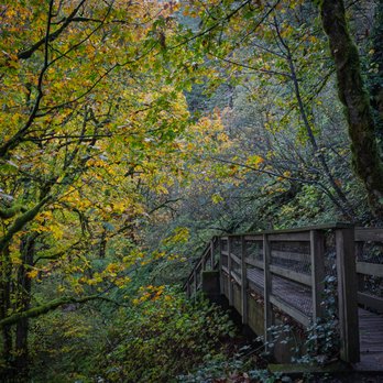 Bridal Veil Falls - Hiking Near Me - Corbett, Oregon