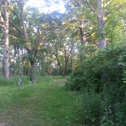 Cambridge Woods - Somewhere off the oak leaf trail....not even sure what I stumbled into here