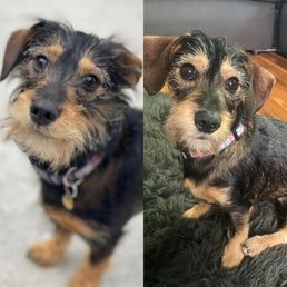 Before and after!