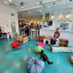 Regal Cat Cafe
