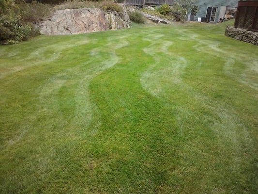 Piscataqua Landscaping & Tree Service by null