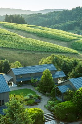 WillaKenzie Estate by null