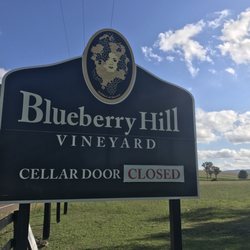 Blueberry Hill Vineyard