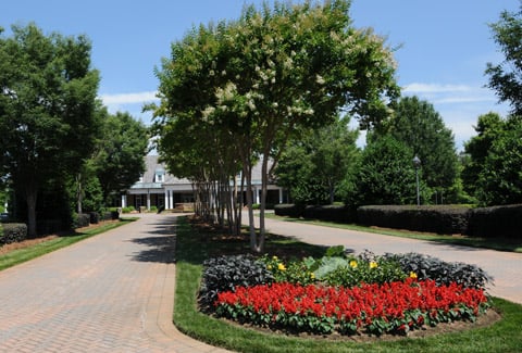 Us Lawns - tree service in Ridgeland, MS