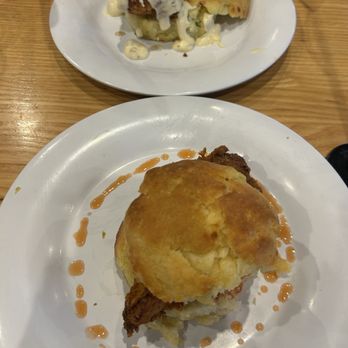 Vicious Biscuit - Coffee & Tea Near Me - Mount Pleasant, South Carolina Vicious Biscuit - Coffee & Tea Near Me - Mount Pleasant, South Carolina