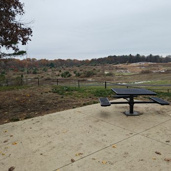 Central Bark Park - Dog Parks Near Me Central Bark Park - Dog Parks Near Me