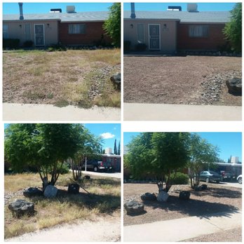 Moses Landscaping - Weed removal - Tree Services Near Me Moses Landscaping - Weed removal - Tree Services Near Me