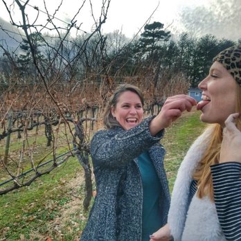 Frogtown - Wineries Near Me - Dahlonega, Georgia