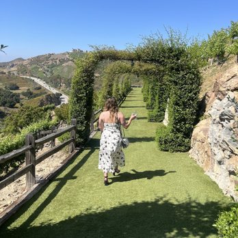 CIELO FARMS - Updated August 2024 - 320 Photos & 134 Reviews - 31424