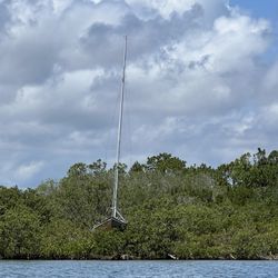 Ponce Inlet Watersports - Now how did that get there?