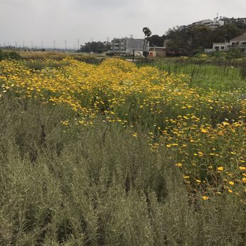 Ballona Wetlands - Hiking Near Me - Playa Del Rey, California Ballona Wetlands - Hiking Near Me - Playa Del Rey, California