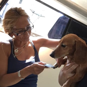 Doggylicious Mobile - Pet Groomers Near Me