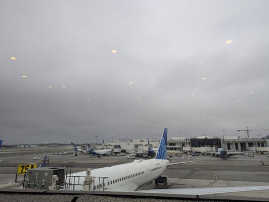 United Polaris Lounge by null