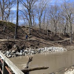 Petrifying Springs Park - A bit drab in early spring